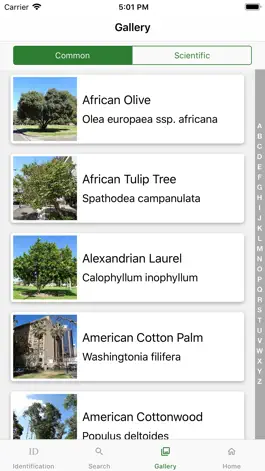 Game screenshot Australian Tree ID apk