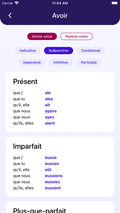 French~English Dictionary Screenshot