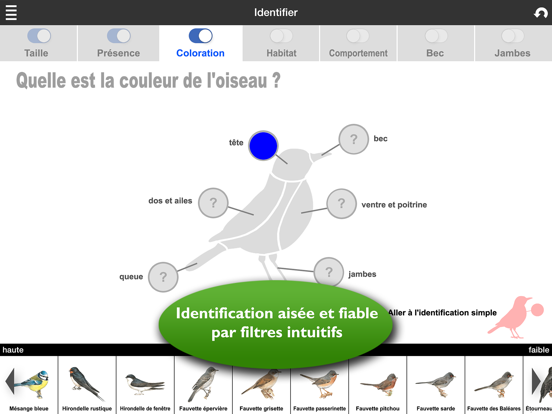 Screenshot #6 pour Oiseaux d’Europe