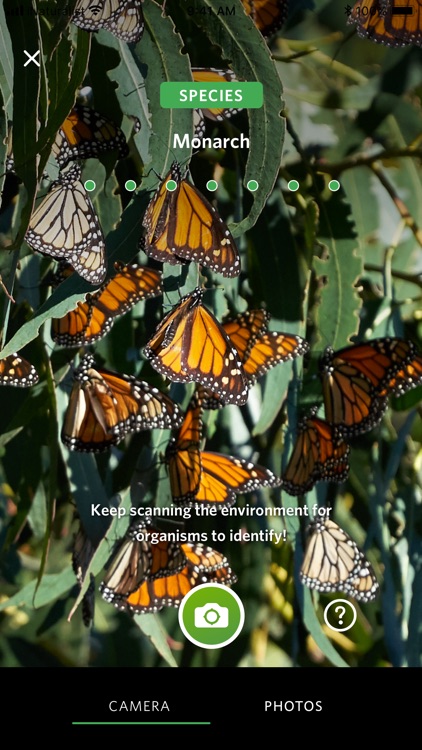 Seek by iNaturalist screenshot-0