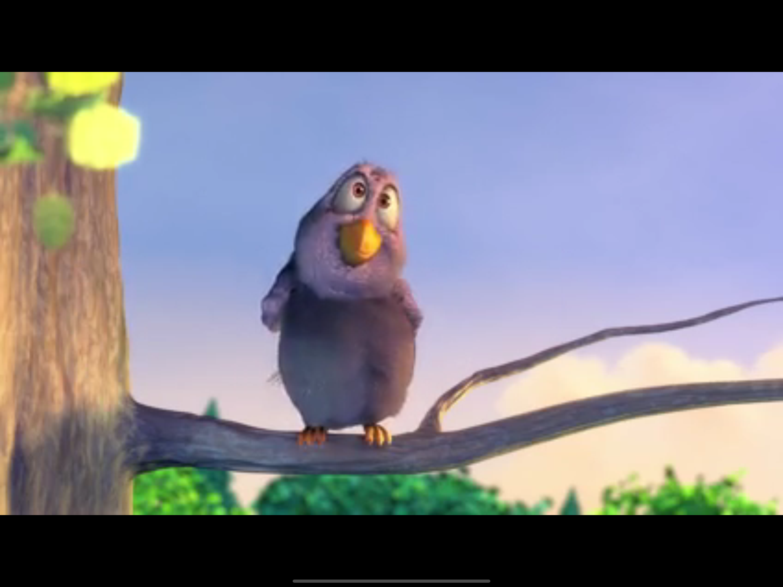 Larix Player SRT & Live Stream screenshot 4