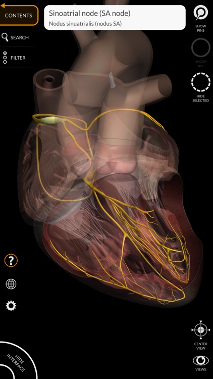 Anatomy 3D Atlas screenshot-8