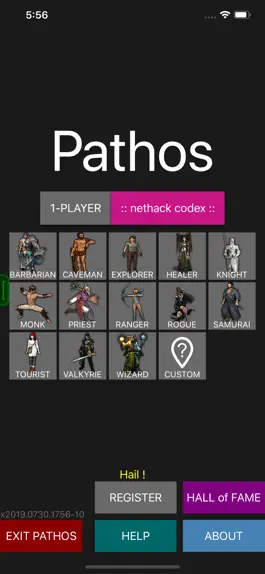 Game screenshot Pathos: Nethack Codex mod apk