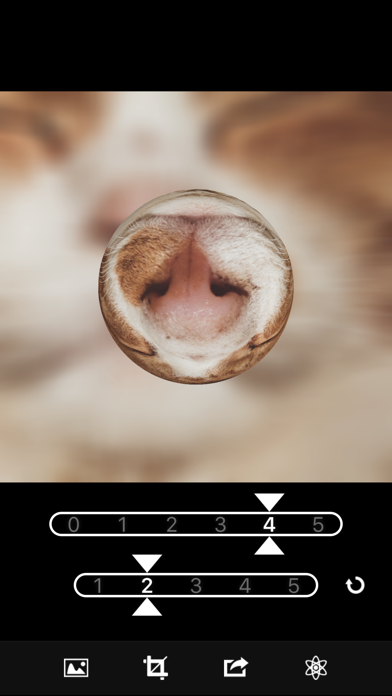Screenshot #1 pour Marble Magick