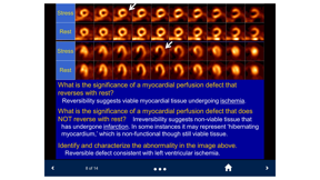 Basic Radiology - SecondLook screenshot