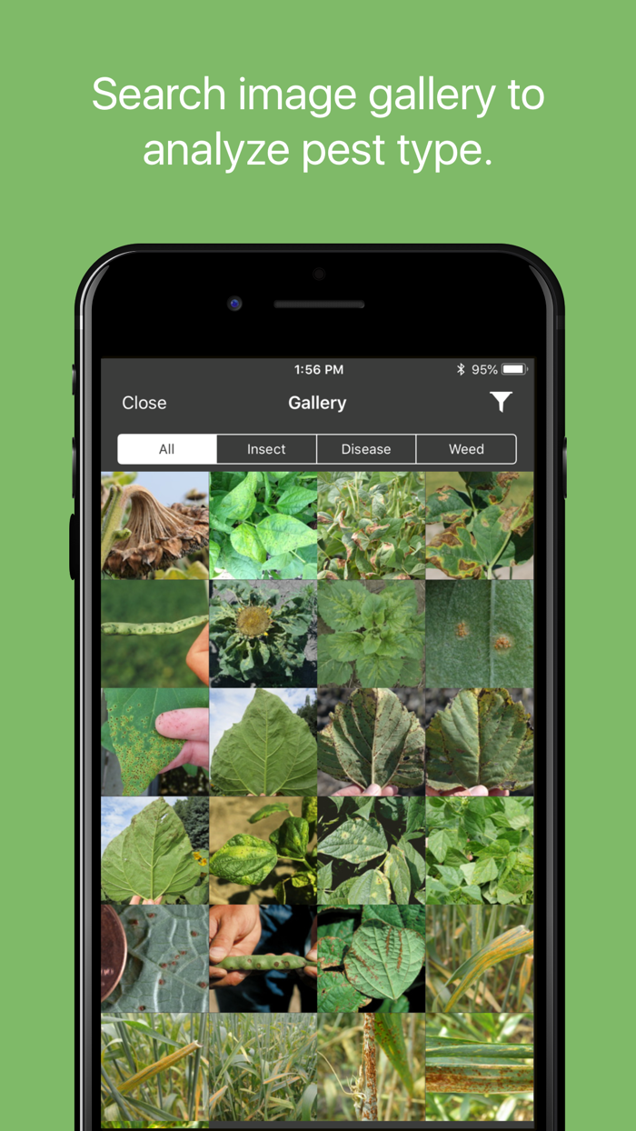 NDSU Pest Management