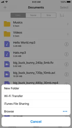 APlayer - Alook Player iPhone image 2