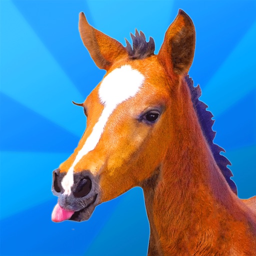 Jumpy Horse Breeding Icon