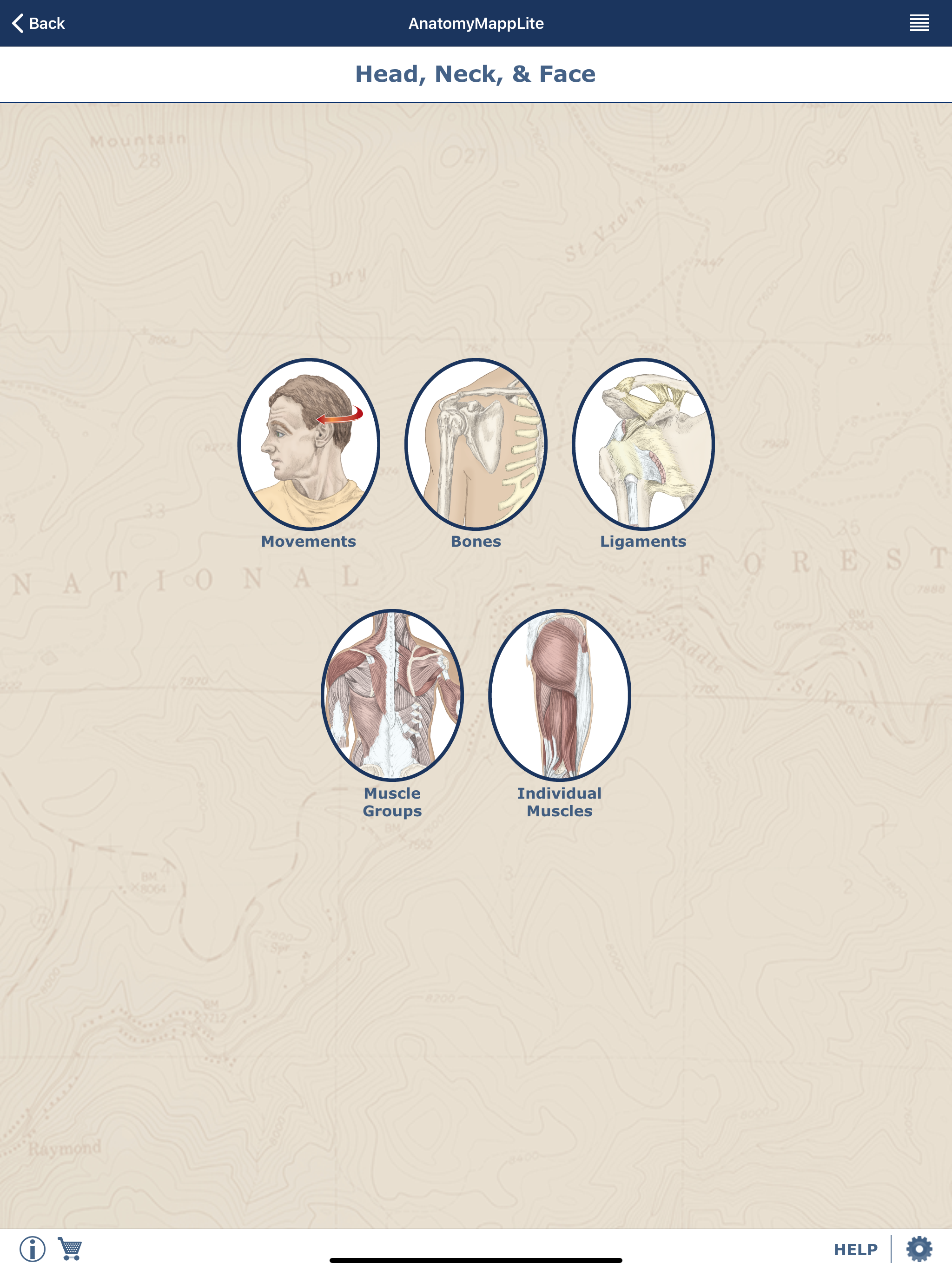 AnatomyMapp Lite screenshot 7
