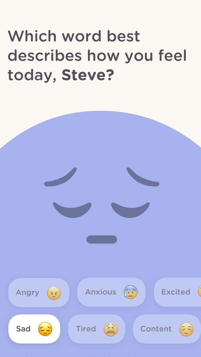 present - mindfulness journal