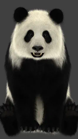 Game screenshot Panda AR apk