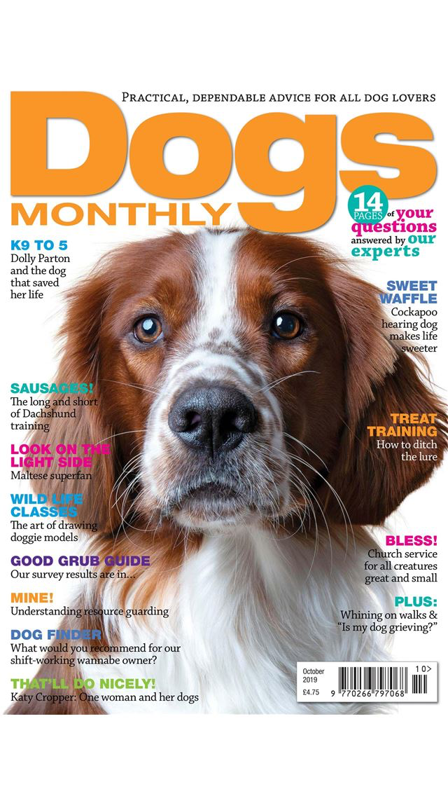 Dogs Monthly Magazine