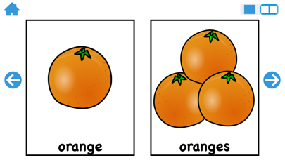 Teach Me Plurals iPhone screenshot 5 - Education app