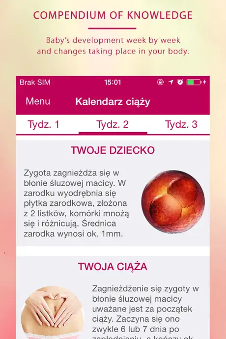 My pregnancy - Moja ciąża