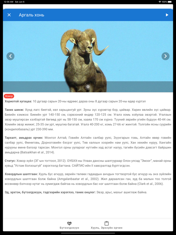 Screenshot #5 pour Соргог