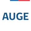 AUGE - GES icon