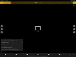 nPlayer screenshot 10