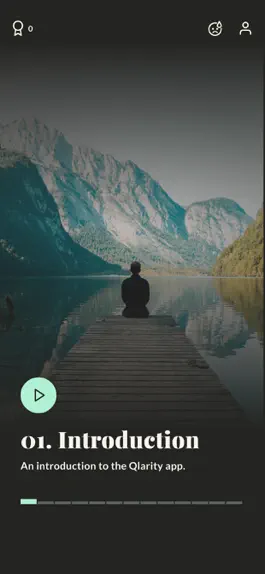 Game screenshot Qlarity apk