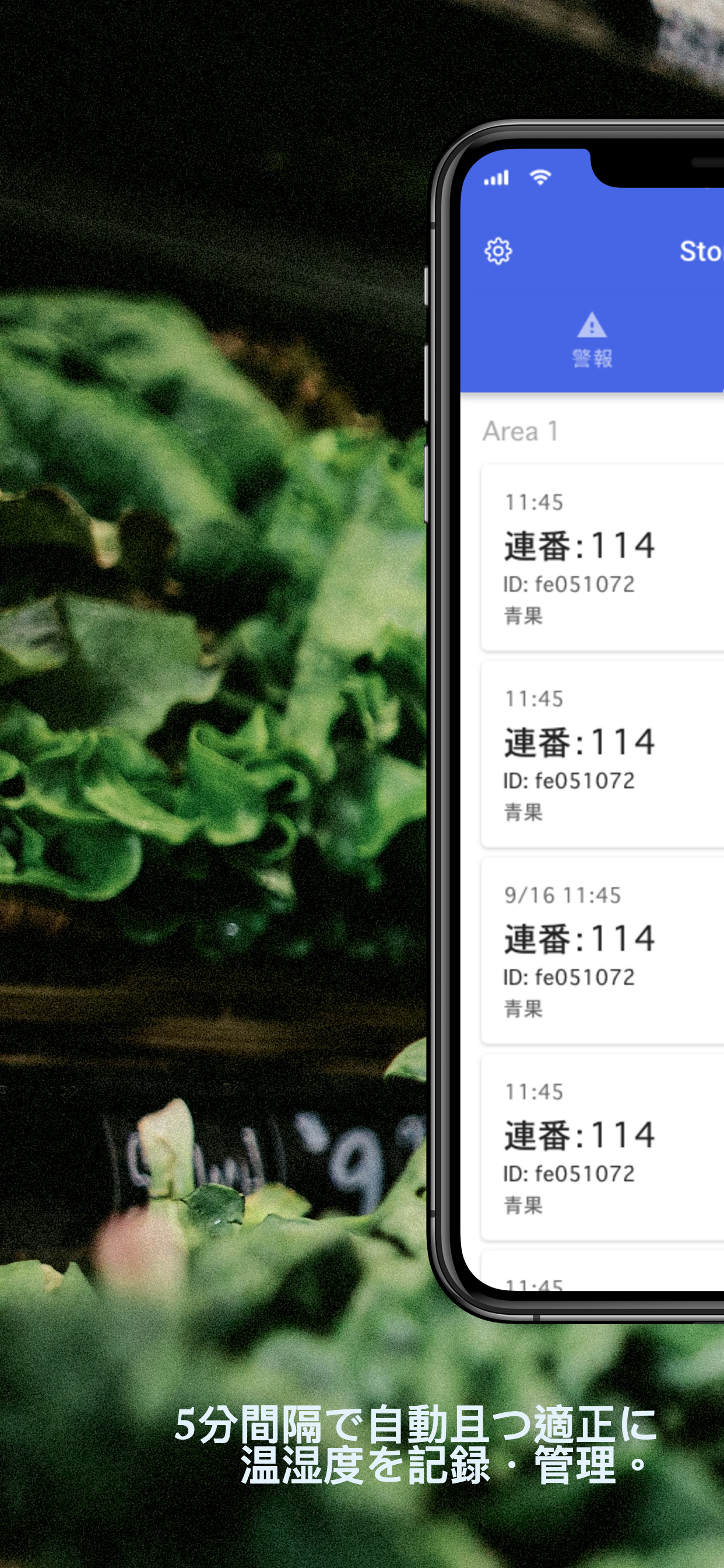 Kiwi Temperature screenshot 2