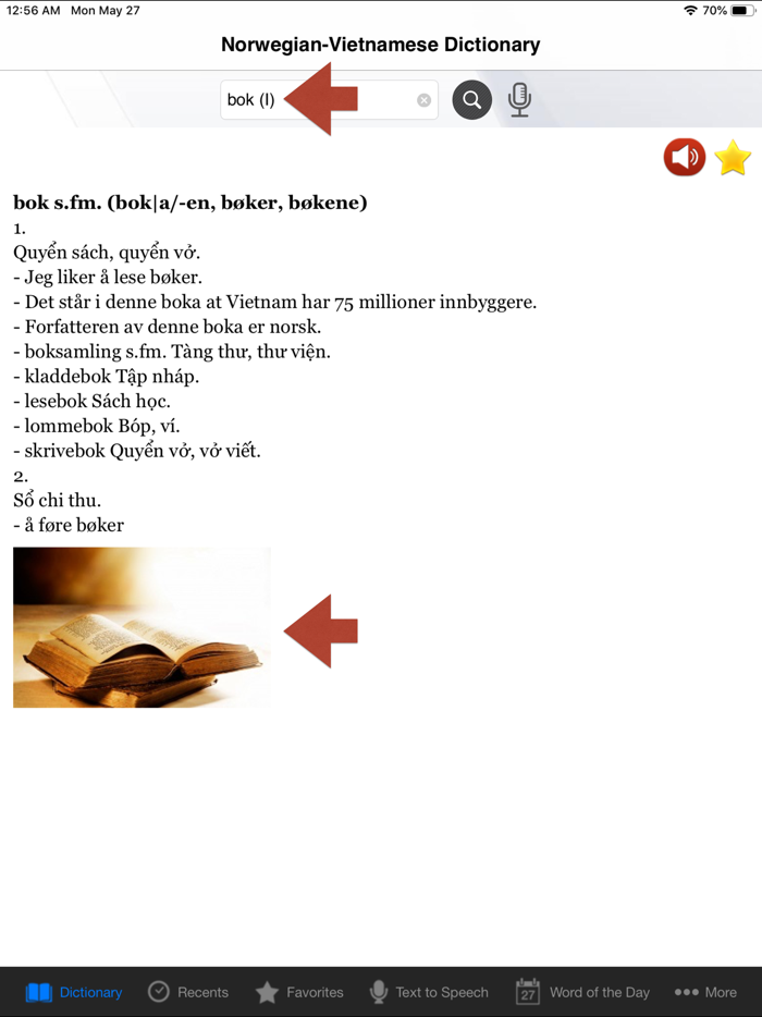 Norwegian-Vietnamese Dict. Pro