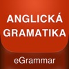 English grammar: tenses - iPhoneアプリ