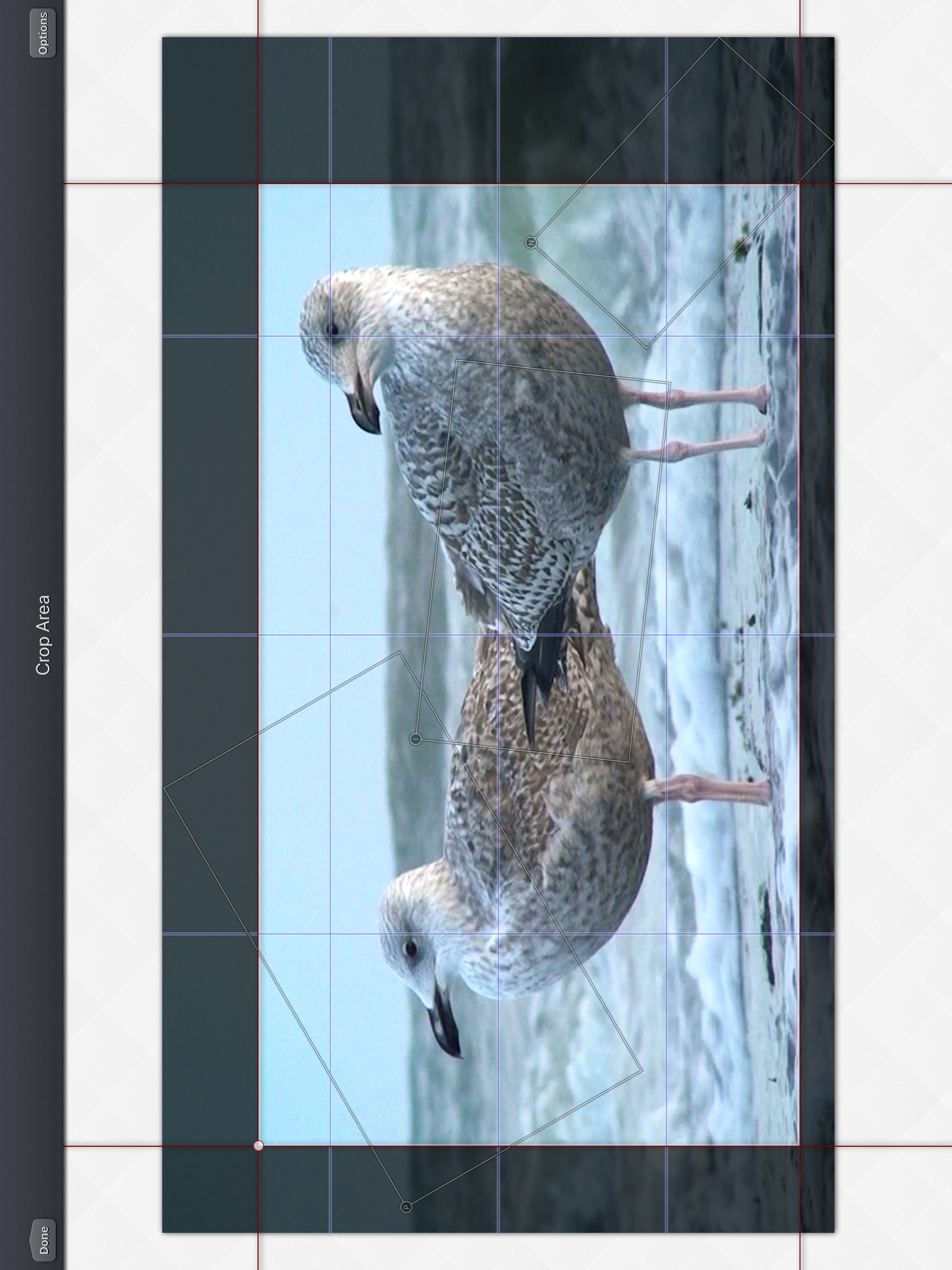 Video Crop & Zoom - HD