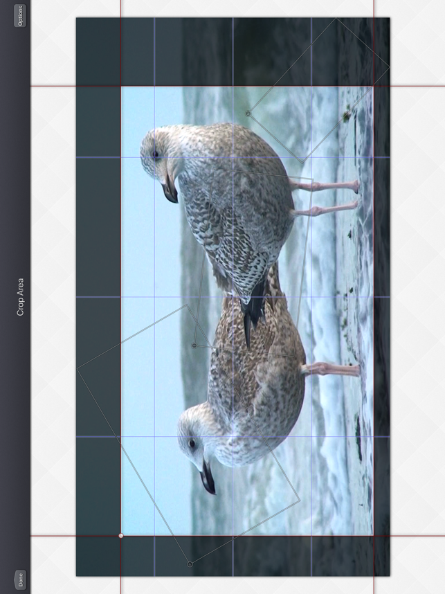 ‎Video Crop & Zoom - HD Screenshot