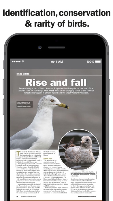 Birdwatch Magazine Screenshot