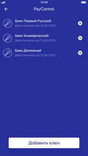 paycontrol classic айфон картинки 2