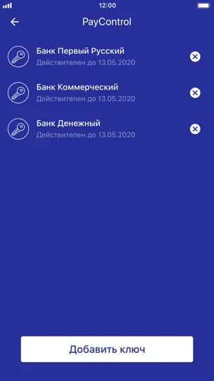 Скриншот PayControl Classic на iPhone 2
