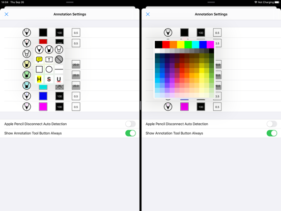 PDF Notes C iPad screenshot