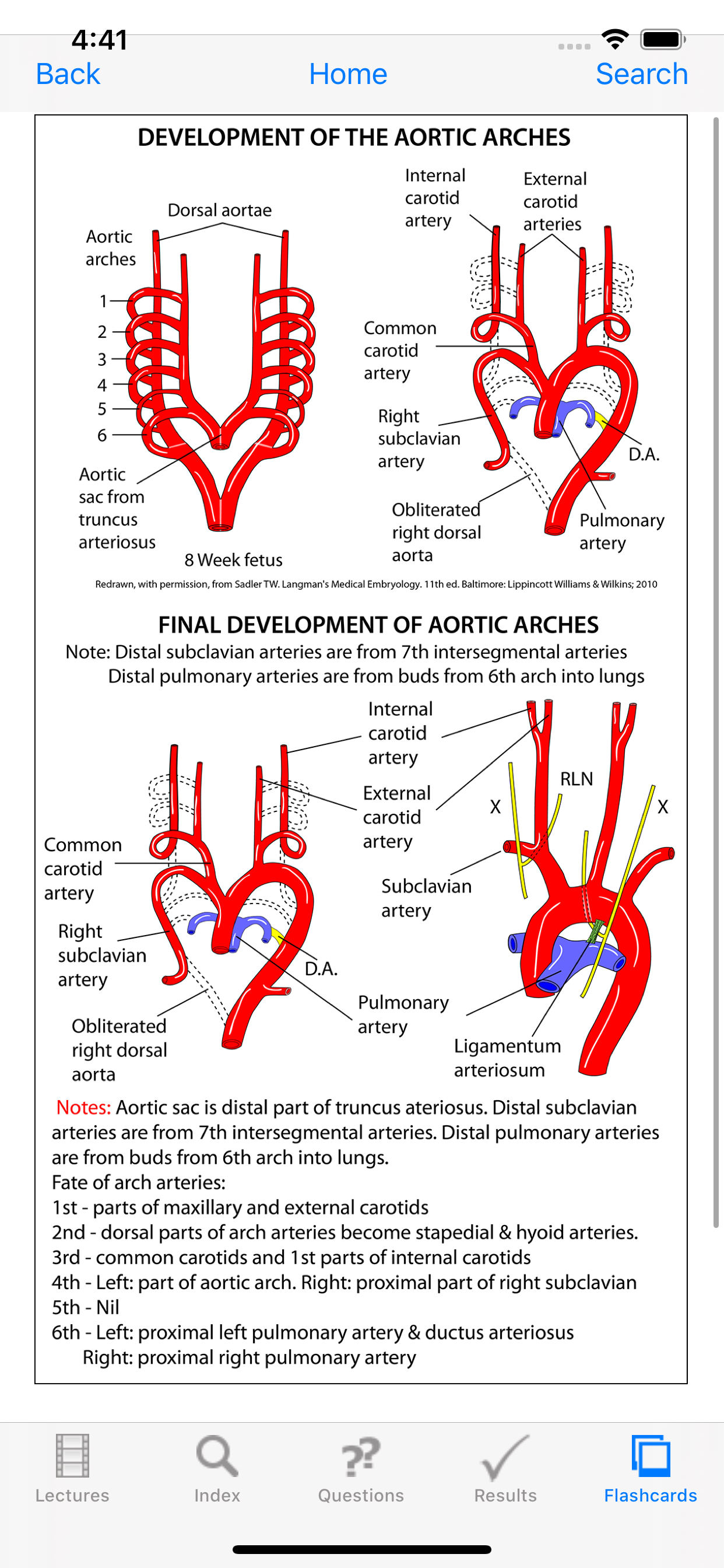 Instant Anatomy Anthology screenshot 6