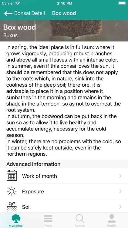 BonsaiDo screenshot-4