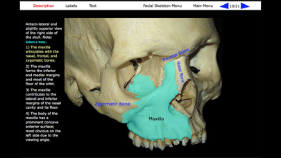 Human Skeleton: Gross Anatomyのおすすめ画像5