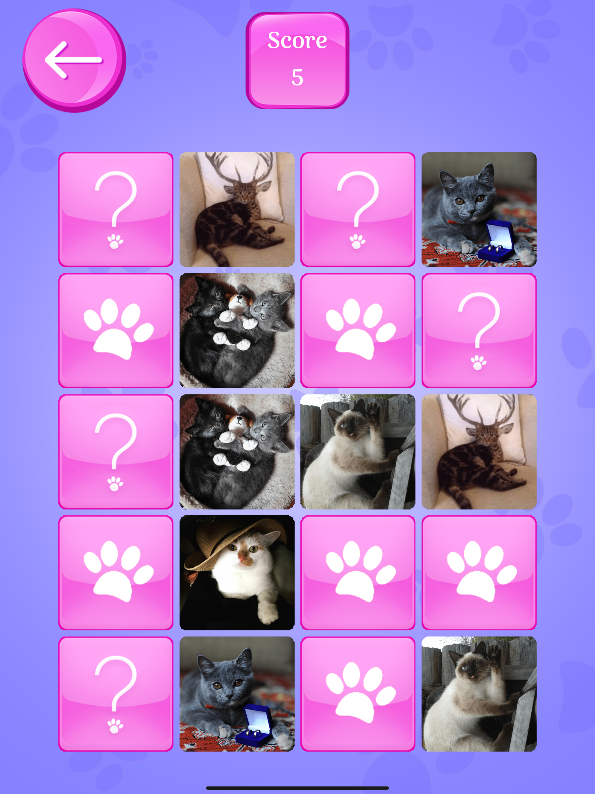 Cute Cats Memory Match Game screenshot 8