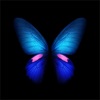3D Themes - Live Wallpapers - iPadアプリ