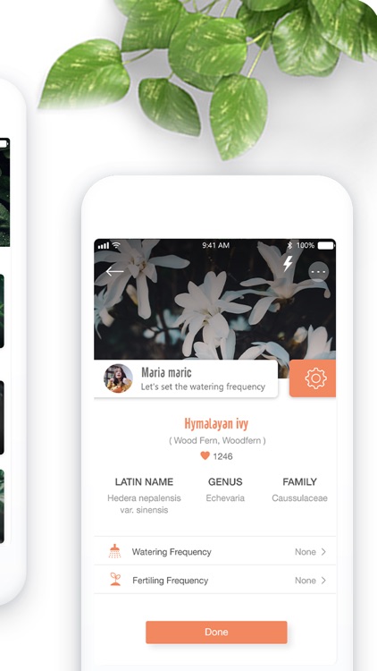 PlantDetect - Plant Identifier screenshot-3