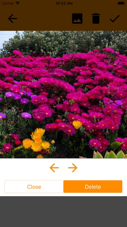 メモ-写真が貼れるメモアプリ