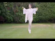 tai chi for beginners 48 form ipad images 3