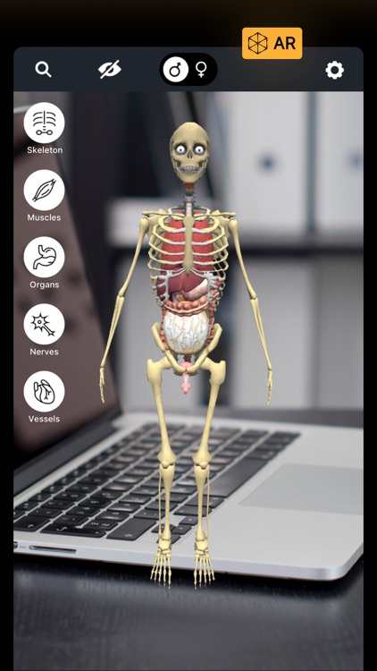 Discover Human Body AR screenshot-0