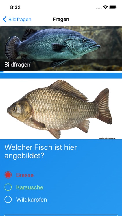 Fischbestimmung screenshot-3