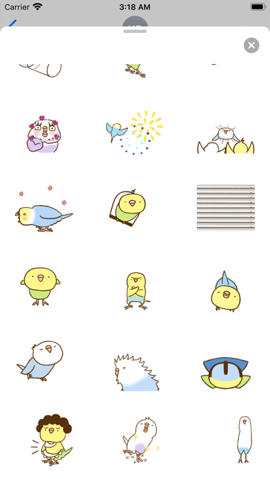 Screenshot #3 pour Lovely Budgie Animated Sticker
