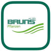BRUNS online sur PC