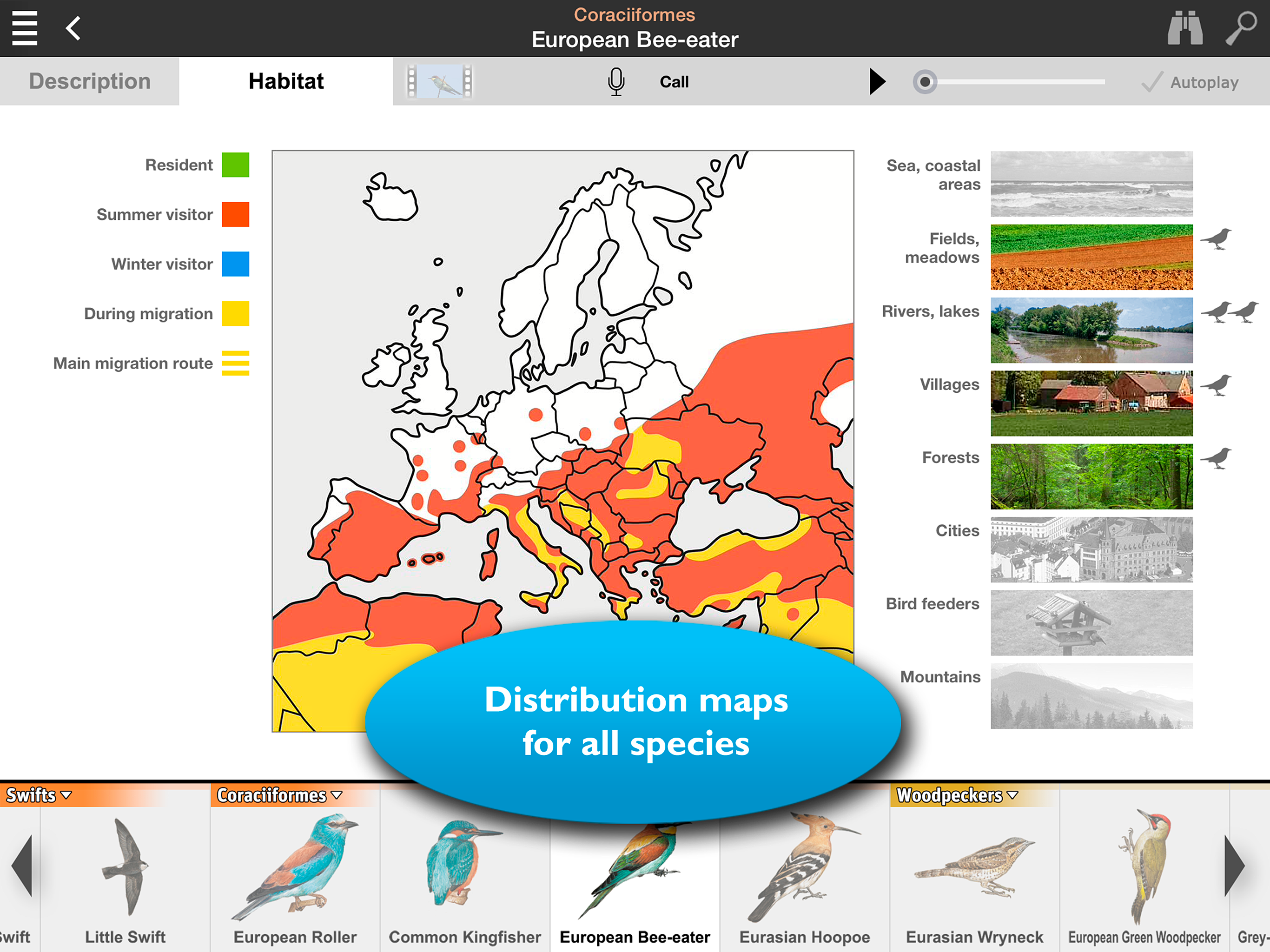 Birds of Europe Guide
