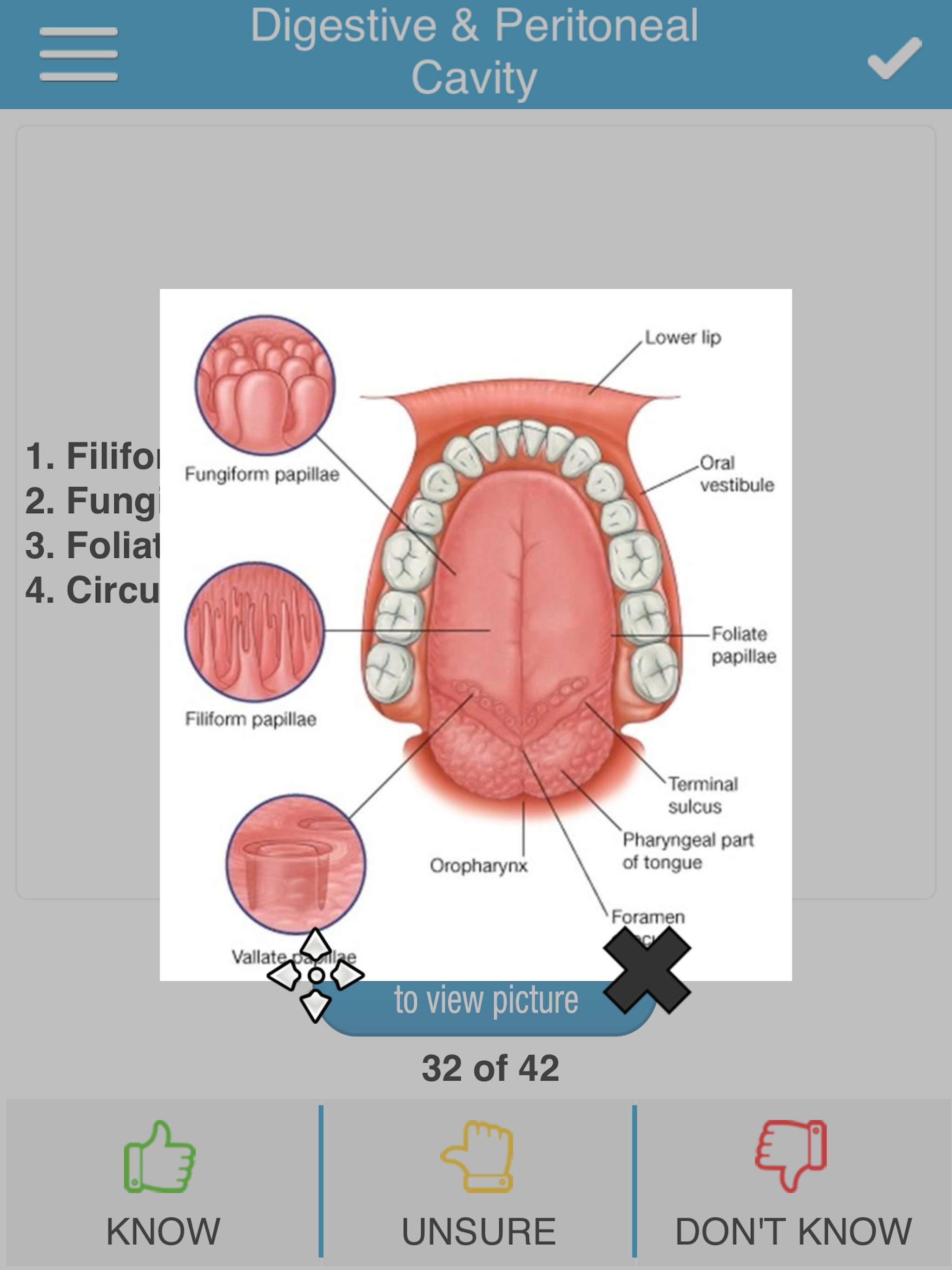 USMLE Anatomy Cram Cards screenshot 13