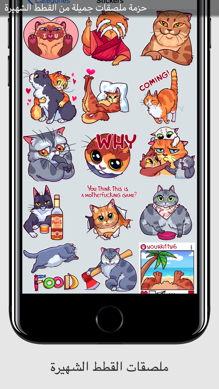 ستكرات قطط مألوفة