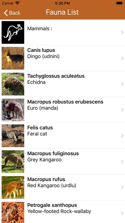 Flinders Ranges Walks screenshot-6