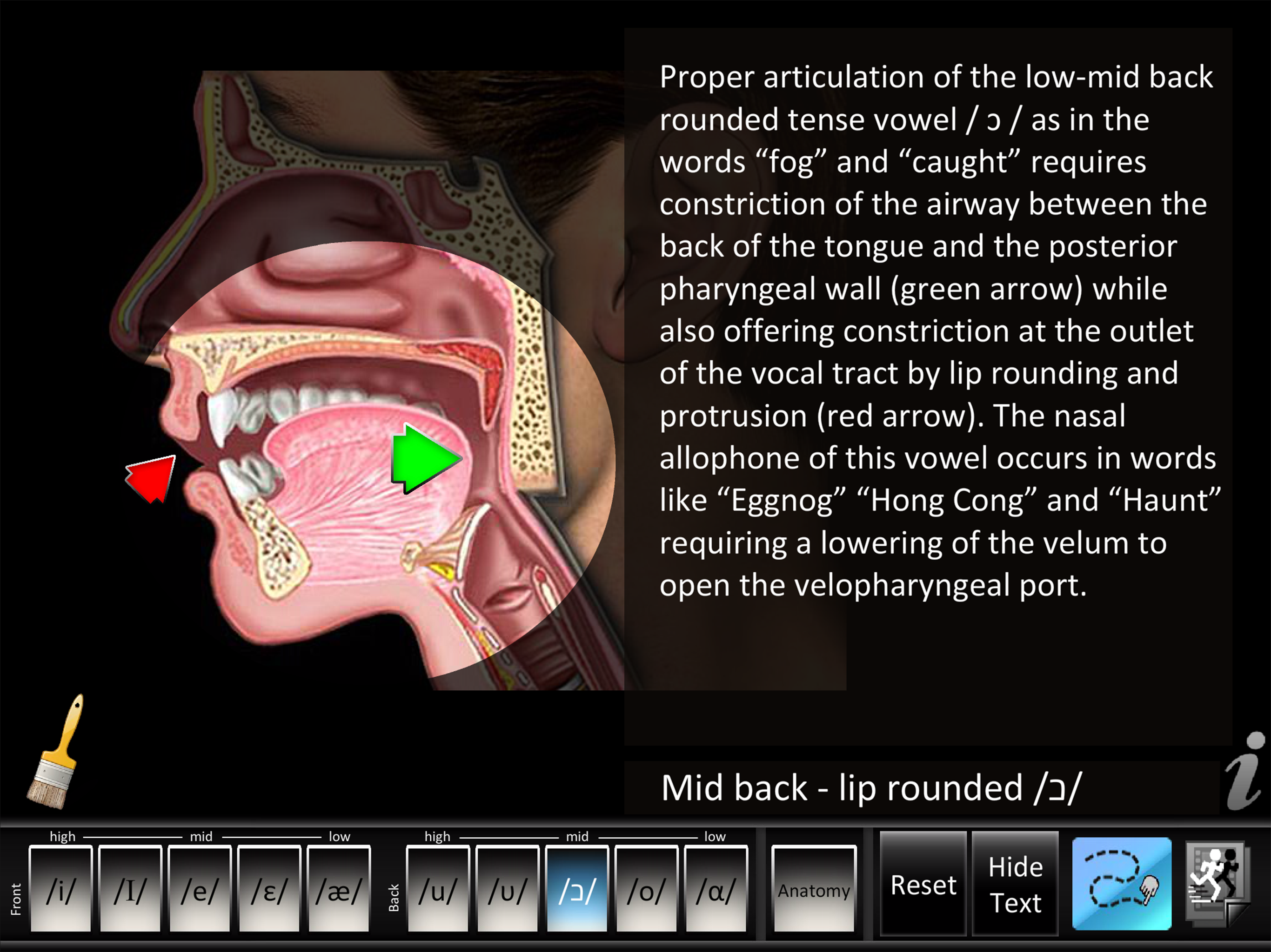 Vowels Front Back screenshot 7