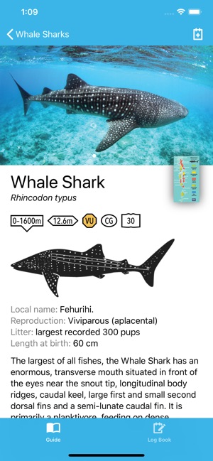 Fishes of the Maldives(圖1)-速報App