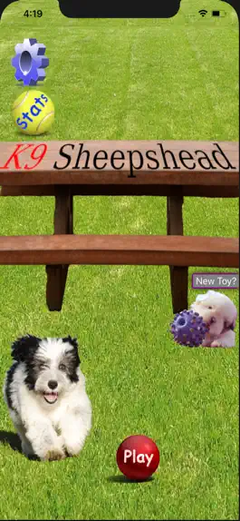 Game screenshot K9 Sheepshead: Schafkopf Cards mod apk